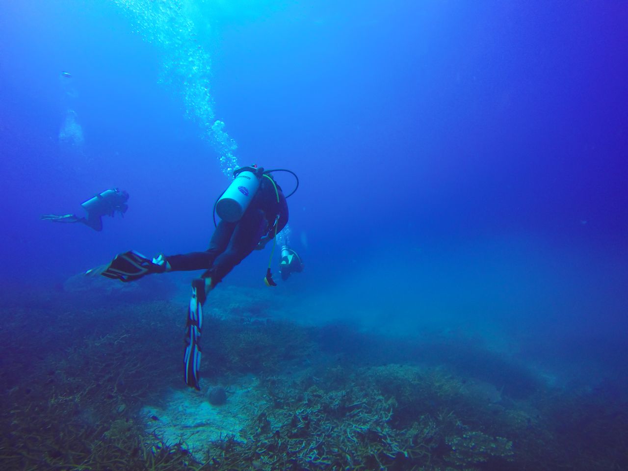 A man scuba diving