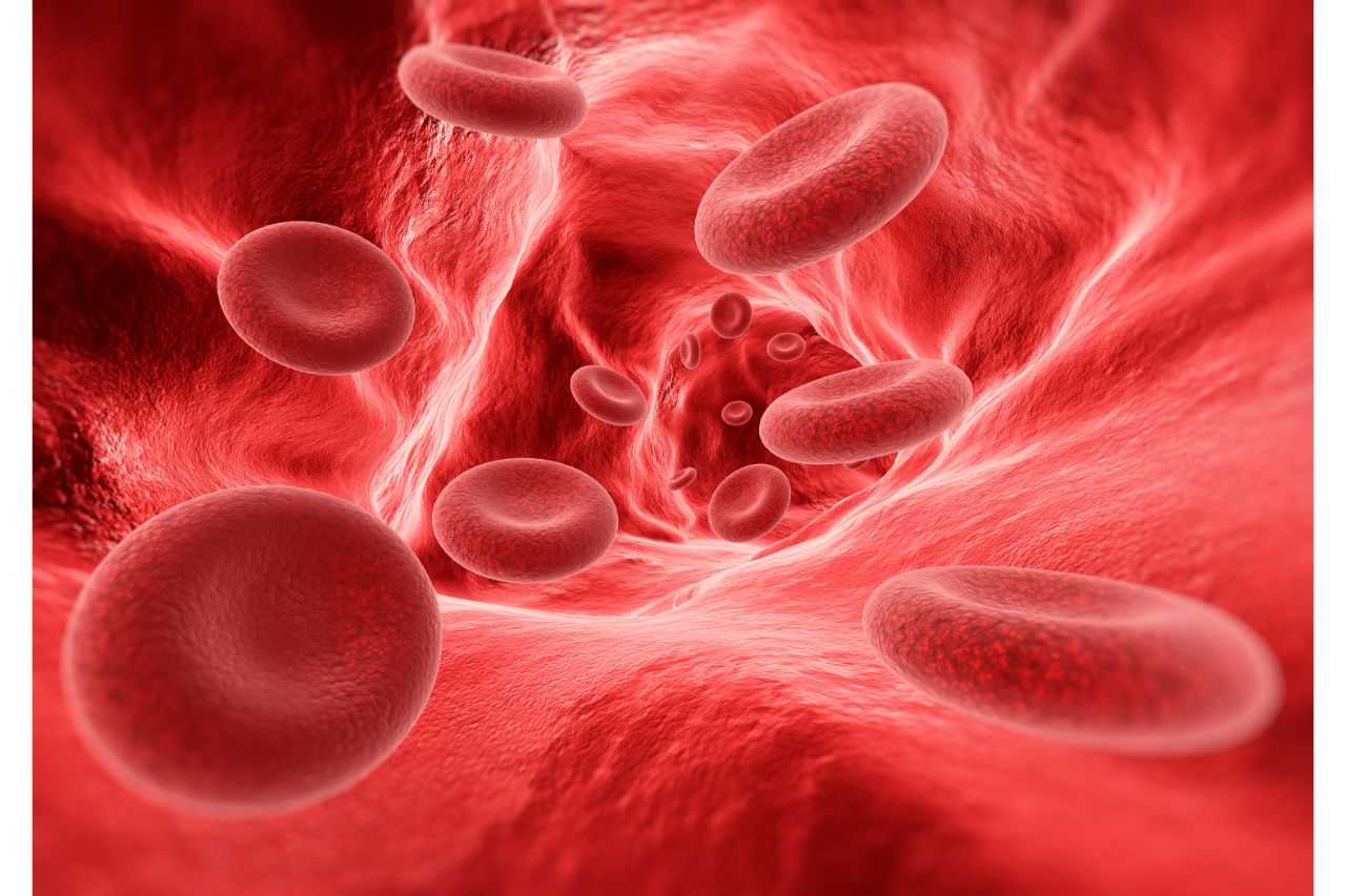 Close up of red blood cells