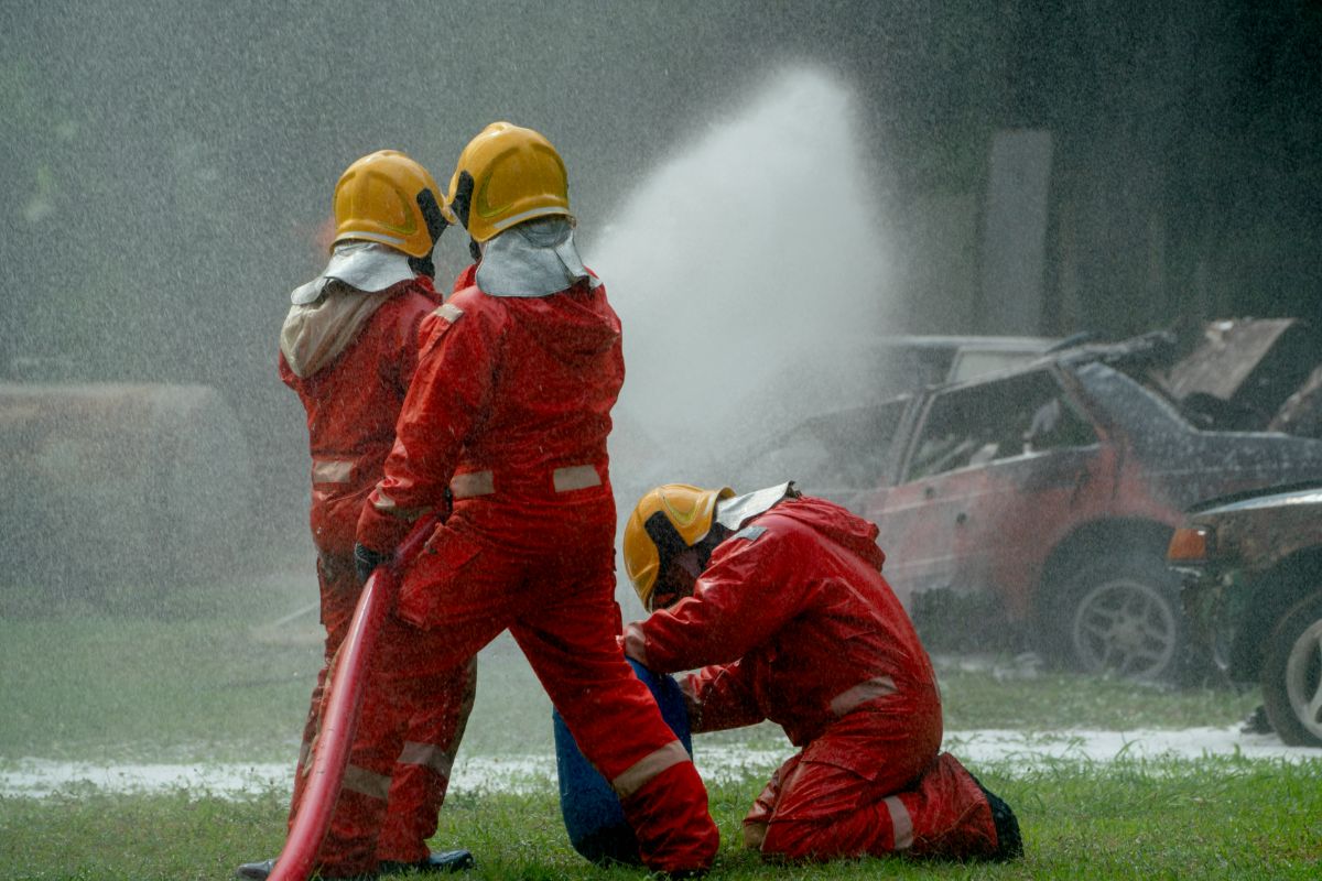 Wait for professionals